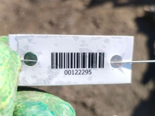 Полка аккумулятора, ориг. номер 6C0915321D, Skoda Rapid 2012-2017