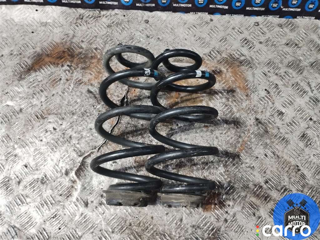 Пружина задняя Nissan Qashqai 2006-2010, фото 1