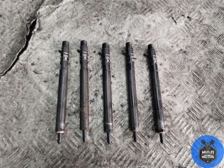 Форсунка, ориг. номер A6650170121, SsangYong Rexton 2003-2008