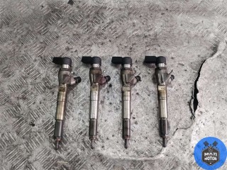 Форсунка Renault Scenic 2009-2012, 8200704191