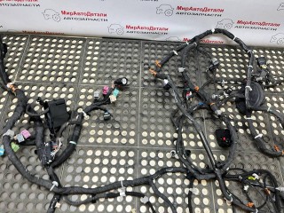 проводка салона, ориг. номер 85024242, 85024243, Honda Prologue 1 поколение 2024-2026