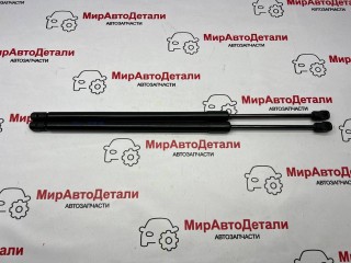 амортизатор капота, ориг. номер 85717511, 85717512, Chevrolet Equinox EV 1 поколение 2024-2026