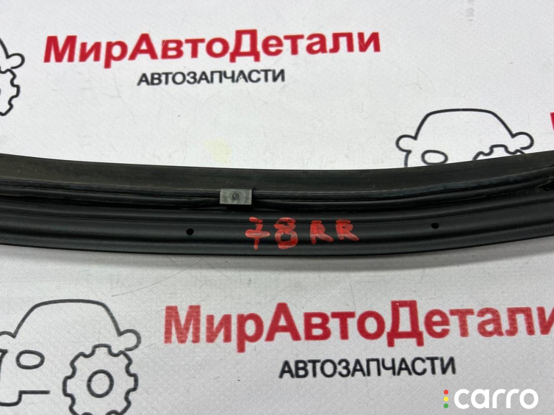 уплотнитель двери задней правой Chevrolet Equinox EV 1 поколение 2024-2026, левый руль, фото 7