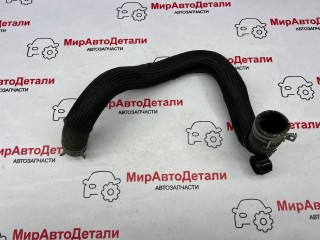 патрубок радиатора, ориг. номер LX618B273AAD, Ford Escape 4 поколение CX482 2019-2022