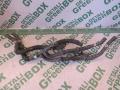 Патрубок (трубопровод, шланг) Toyota RAV 4 2008г. - фото №4