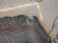 A1664210120 Кожух защитный тормозного диска Mercedes ML W166 2012г. - фото №2