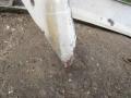 Ус под фару Mercedes Sprinter W906 2006г. - фото №6