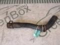 A9065010782 Патрубок (трубопровод, шланг) Mercedes Sprinter W906 2006г. - фото №2