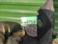 A1668841000, A1668802605 Защита арок передняя левая (подкрылок) Mercedes GL X166 2013г. - фото №9