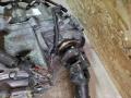 Раздаточная коробка Nissan Pathfinder (R51M) 2008г. - фото №4