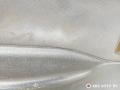 9619225977 обшивка двери передней левой Citroen Berlingo 1 поколение M59 [рестайлинг] 2006г. - фото №4