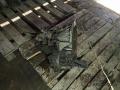 97ZT7F096DA, XS4R7201DB, 97ZT7211BB КПП механическая (МКПП) 5-ступенчатая Ford Mondeo 2 поколение 2000г. - фото №2