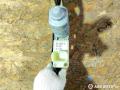 7024813E, 5WK1052, 0206008001 стеклоподъемник электрический задний левый BMW 7 E65/E66 2004г. - фото №2