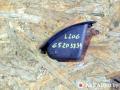 9629268377 вещевой ящик центральной консоли Peugeot 206 1 поколение [рестайлинг] 2004г. - фото №3