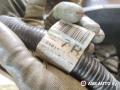 проводка двигателя Nissan Almera N16 2002г. - фото №8