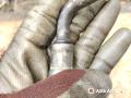 0100185114013 трубка гидроусилителя Opel Vectra C [рестайлинг] 2007г. - фото №5