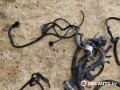проводка двигателя Hyundai Terracan 2004г. - фото №2