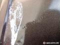 43R-002092, 1Z9833312, E643R002092, 151729052142 дверь задняя правая Skoda Octavia 2 поколение 2007г. - фото №18