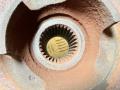 7L0407257A ступица передняя левая Volkswagen Touareg 1 поколение 2006г. - фото №3