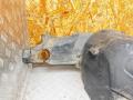 1696903430, A1696903430 подкрылок передний правый Mercedes-Benz A W169 2 поколение (2004-2008) 2004г. - фото №2