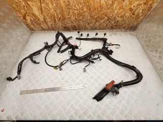 проводка двигателя, ориг. номер 9633466480, 9633187080, 9638988380, Peugeot 406 1 поколение [рестайлинг] 1999-2004