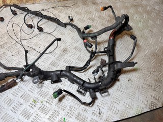 проводка двигателя, ориг. номер 9632707780, 9639280680, 9658502380, Citroen C5 1 поколение [рестайлинг] 2004-2008