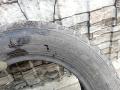 Шина  - фото №8
