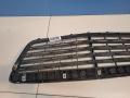 A22188004839040 Решетка радиатора Mercedes S-klasse W221 2009г. - фото №2