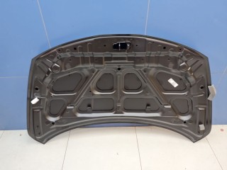 Капот, ориг. номер STDTW5015A0, Nissan Tiida C11 2004-2012