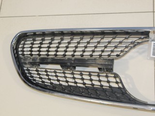 Решетка радиатора, ориг. номер A2178880023, Mercedes S-klasse C217 Coupe