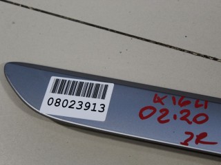 Молдинг двери правый задний, ориг. номер A16469054621693, Mercedes M-klasse W164 ML