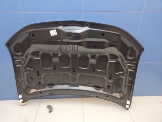 Капот, ориг. номер MB20056A, Mitsubishi Outlander GF