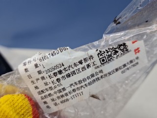 Накладка рамки двери передней левой, ориг. номер 6101745DD01B181, Hongqi HS5