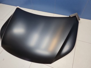 Капот, ориг. номер VG58001500000, Volkswagen Tiguan 2011-2019