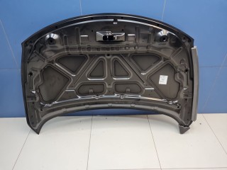 Капот, ориг. номер DS20119A, Nissan Murano Z51 2010-2012