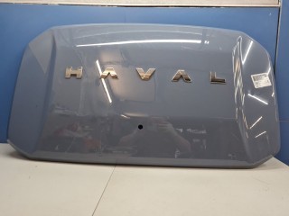 Накладка двери багажника, ориг. номер 5506100XKJ20A, Haval H3 2023-2026