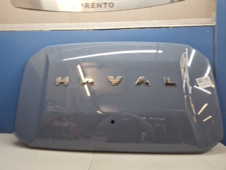 Накладка двери багажника, ориг. номер 5506100XKJ20A, Haval H3 2023-2026