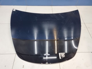 Капот Tesla Model 3 2017-2021, 1081390E0C