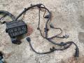 Проводка двигателя Hyundai Santa Fe 2009г. - фото №2