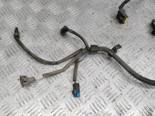 Проводка двигателя, Citroen Xsara Picasso 1999-2004