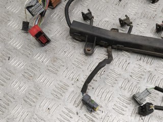 Проводка двигателя, Citroen Xsara Picasso 1999-2004