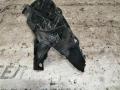 Кронштейн крепления крыла переднего правого Peugeot 307 2006г. - фото №2