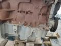 K4M858 Двигатель Renault Grand Scenic 2010г. - фото №11