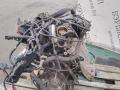 K4M858 Двигатель Renault Megane 2009г. - фото №10