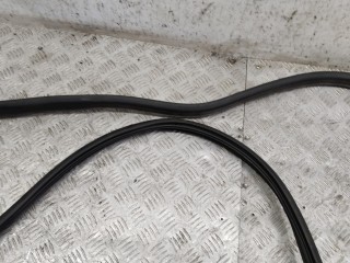 Уплотнитель двери задней левой, Renault Scenic 2009-2012