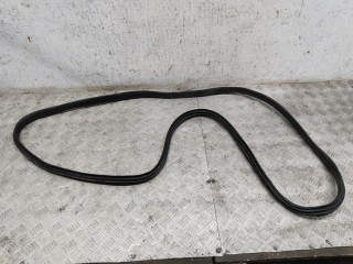 Уплотнитель двери передней левой, Renault Scenic 2009-2012