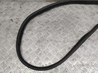Уплотнитель двери задней правой, Renault Scenic 2009-2012