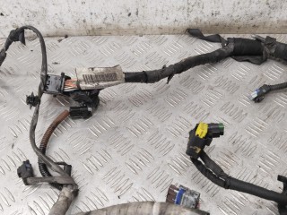 Проводка двигателя, ориг. номер 9684683780, Peugeot 207 2006-2009