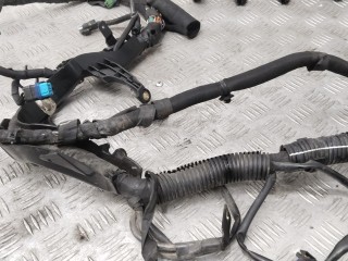 Проводка двигателя, ориг. номер 9684683780, Peugeot 207 2006-2009