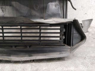 Передняя панель крепления облицовки (телевизор), Renault Scenic 2016-2022